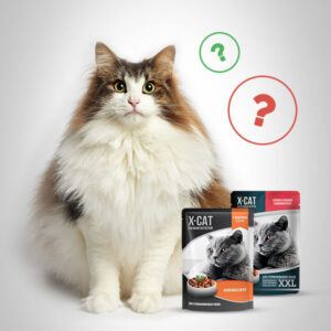 Чем отличаются корма X-CAT для стерилизованных кошек
